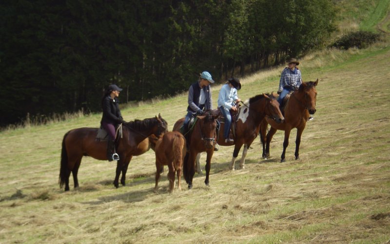 Kościół z wysoką wieżą pośród zielonych wzgórz